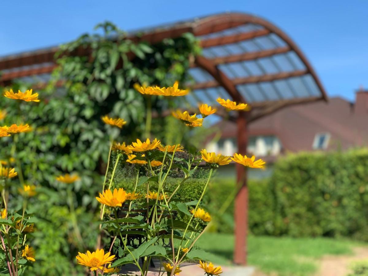 Medison Family Boutique B&B Κίελτσε Εξωτερικό φωτογραφία